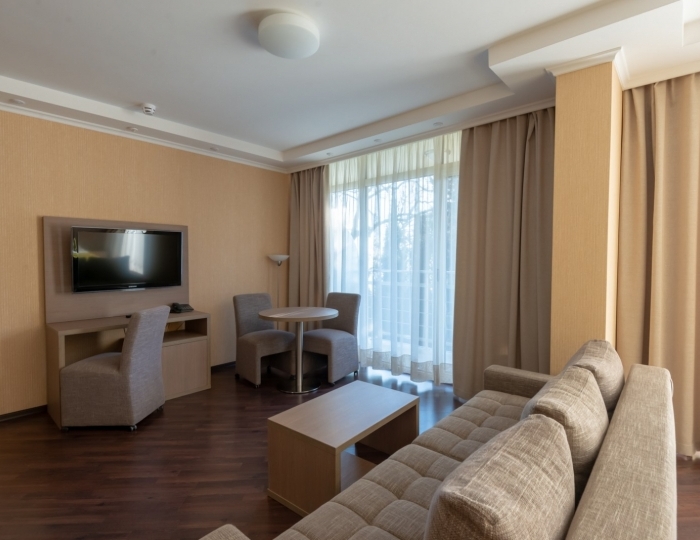 Полулюкс 2-местный 1-комнатный - Отель «Родня» Ялта